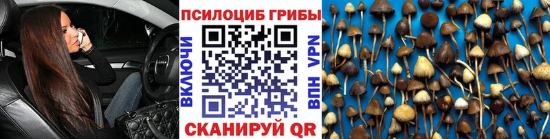 Псилоцибиновые грибы MAGIC MUSHROOMS  Бронницы 